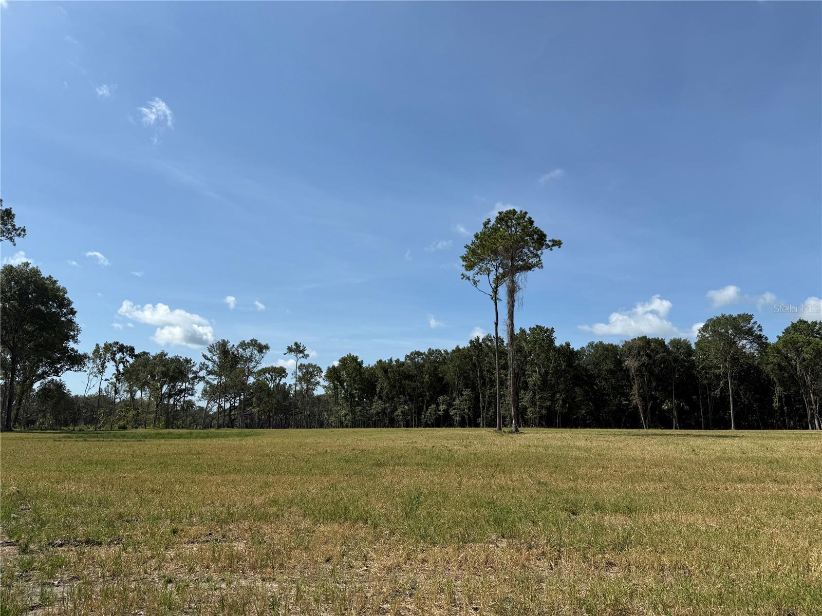 DO #8 (10ac) NW 193RD ST, MICANOPY, FL, 32667