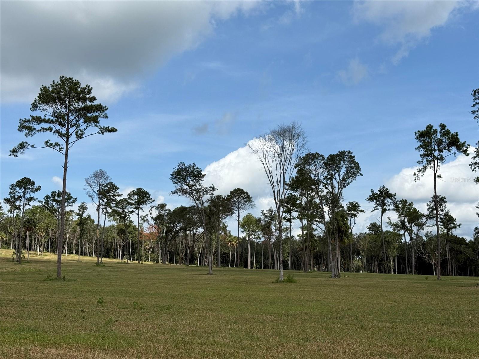 DO #8 (10ac) NW 193RD ST, MICANOPY, FL, 32667