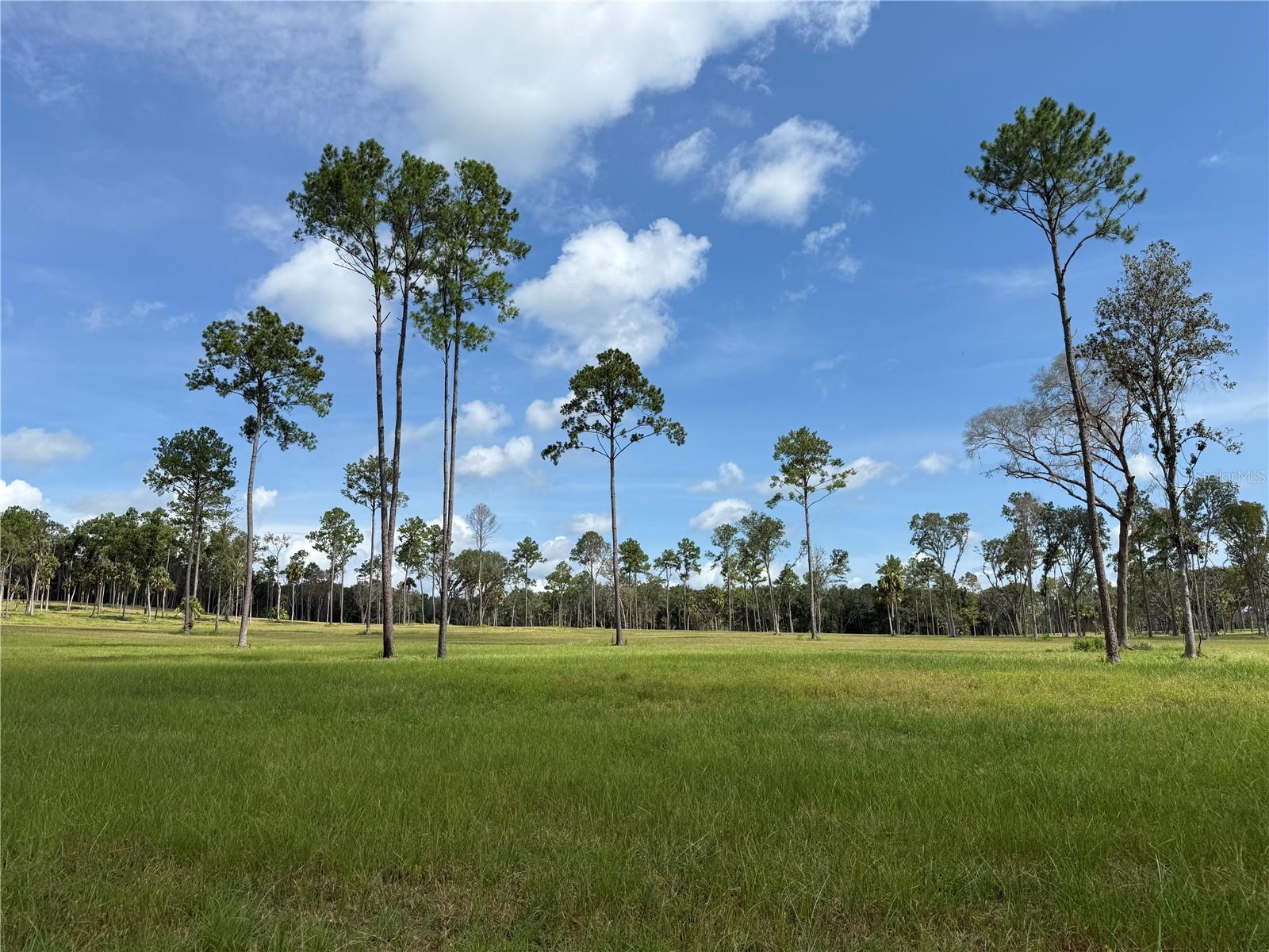 DO #8 (10ac) NW 193RD ST, MICANOPY, FL, 32667