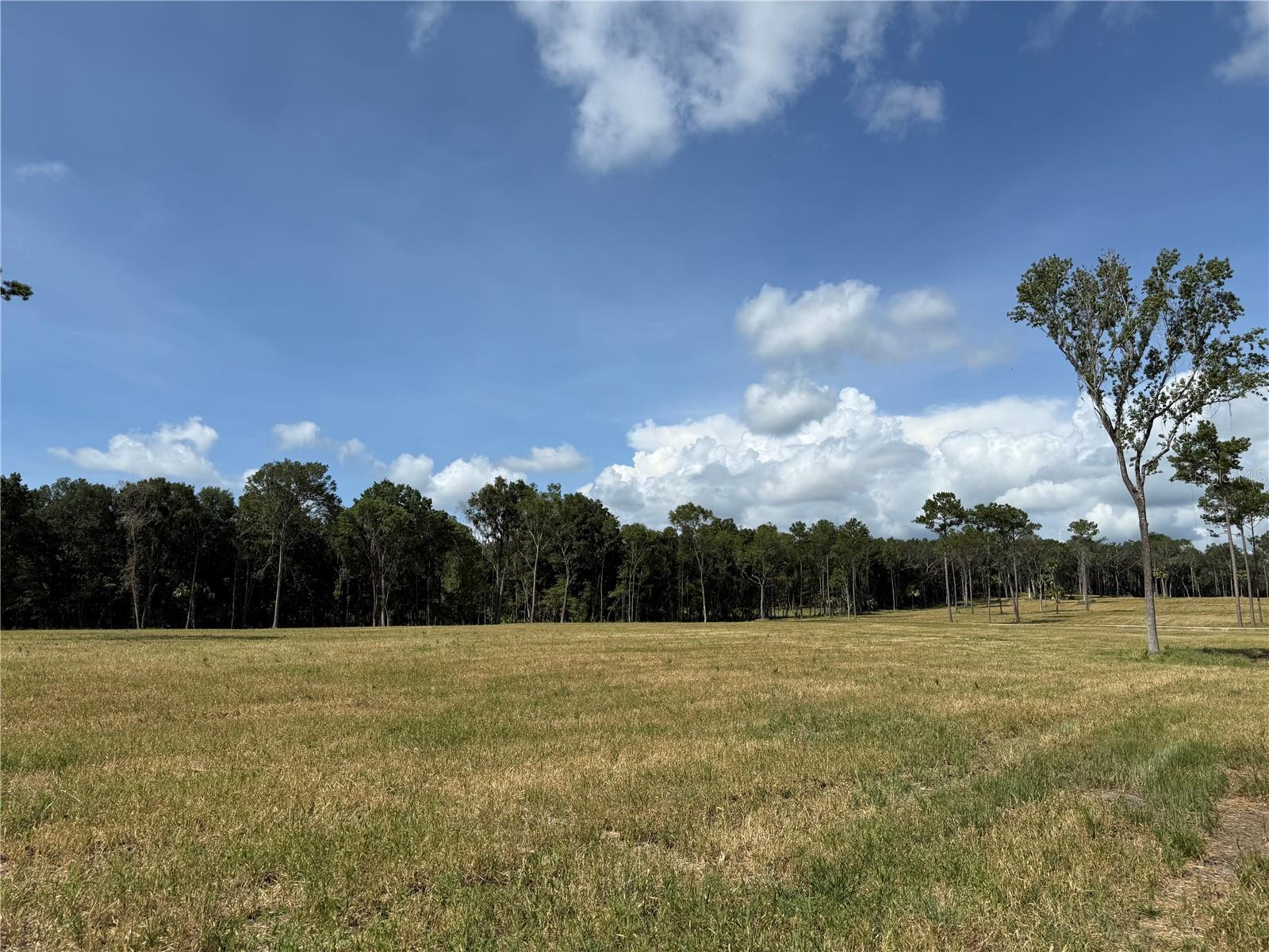 DO #8 (10ac) NW 193RD ST, MICANOPY, FL, 32667