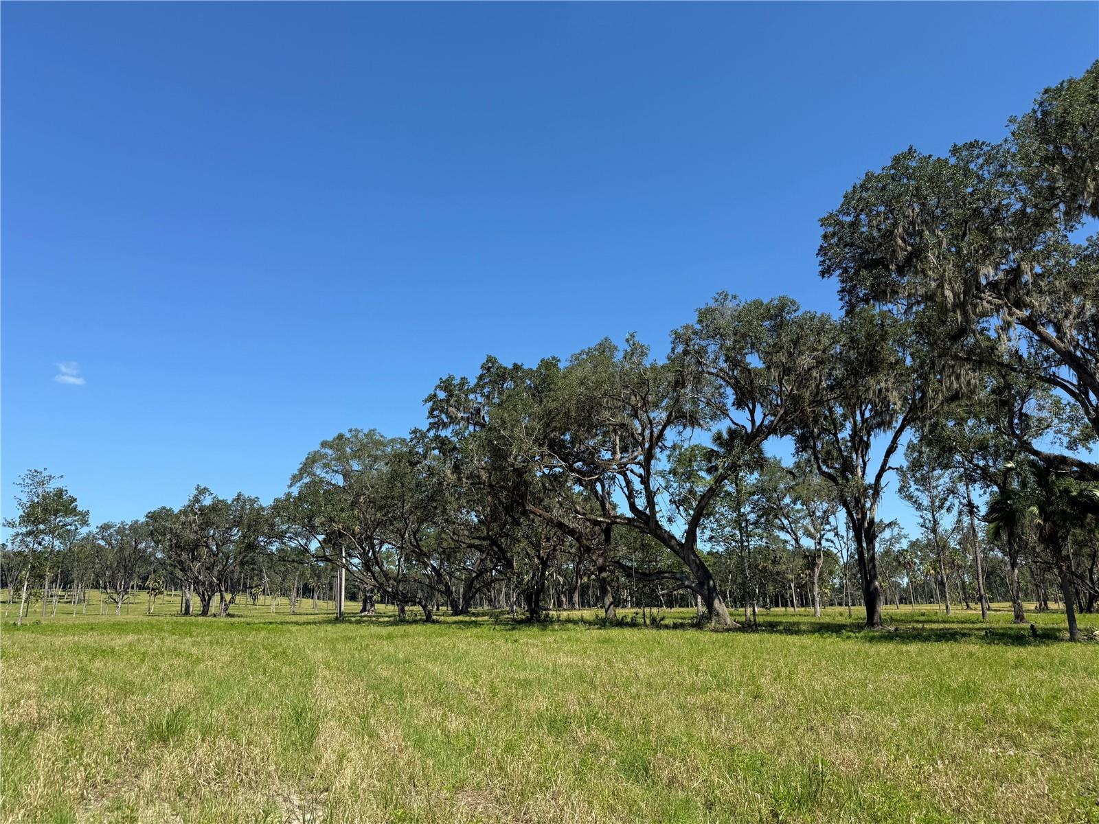 DO #8 (10ac) NW 193RD ST, MICANOPY, FL, 32667
