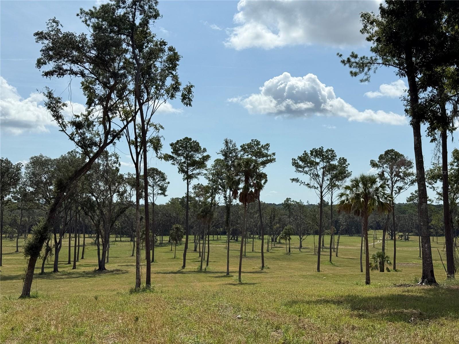 DO #8 (10ac) NW 193RD ST, MICANOPY, FL, 32667
