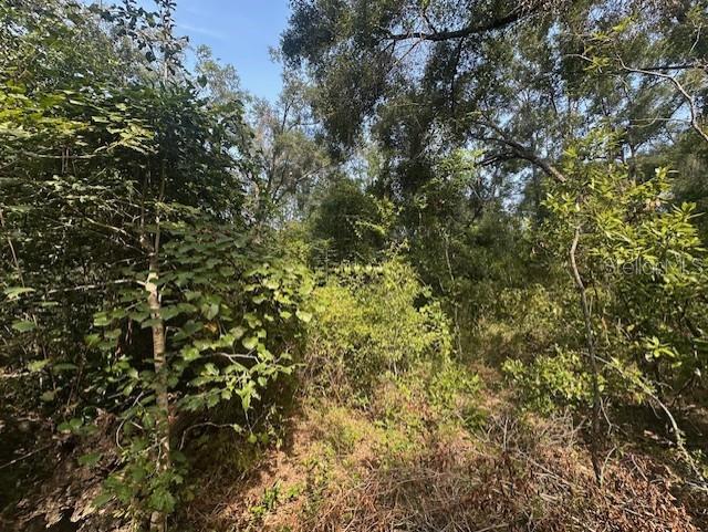 NW 38TH PL, BELL, FL, 32619