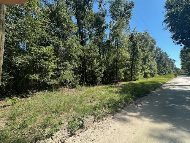 NW 38TH PL, BELL, FL, 32619