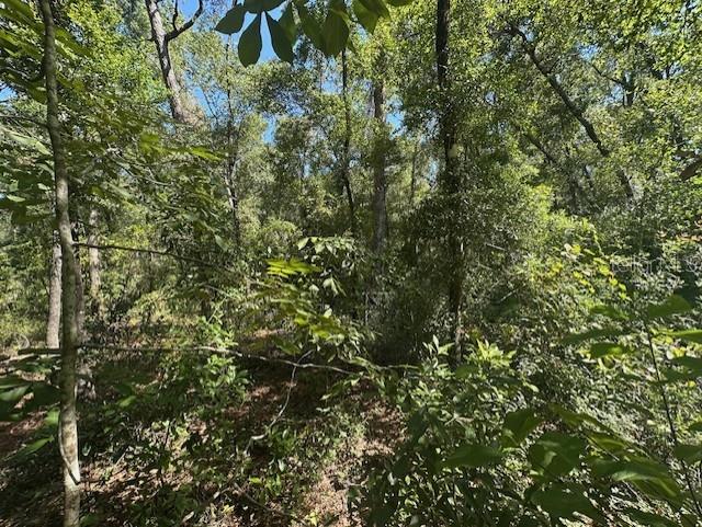 NW 38TH PL, BELL, FL, 32619