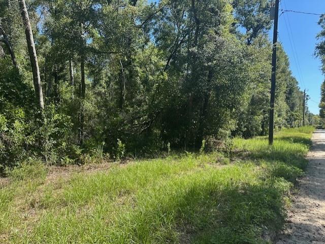 NW 38TH PL, BELL, FL, 32619