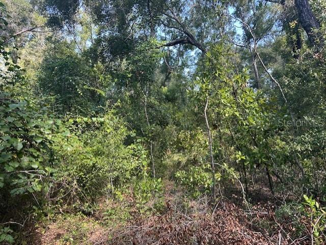 NW 38TH PL, BELL, FL, 32619