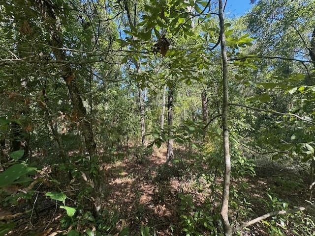 NW 38TH PL, BELL, FL, 32619