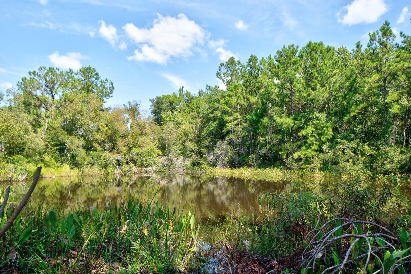 2128 NW 47TH PL, GAINESVILLE, FL, 32605