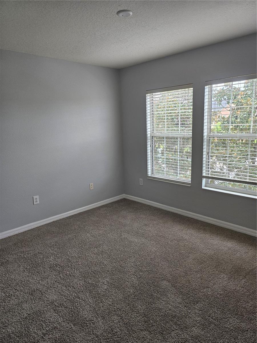 6972 TOWERING SPRUCE DR, RIVERVIEW, FL, 33578