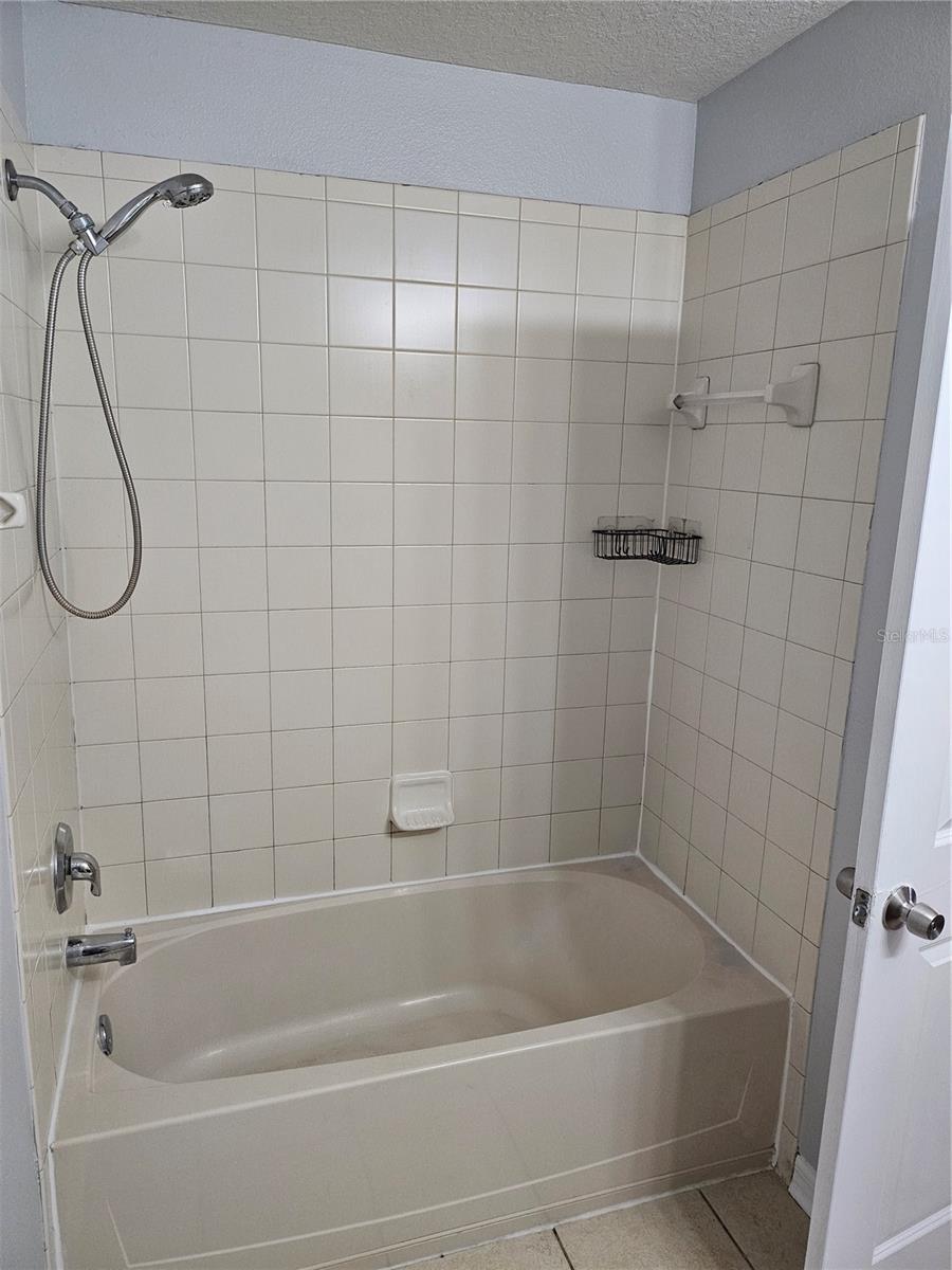 6972 TOWERING SPRUCE DR, RIVERVIEW, FL, 33578