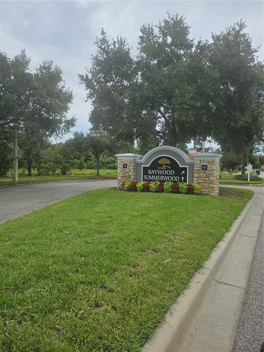 6972 TOWERING SPRUCE DR, RIVERVIEW, FL, 33578