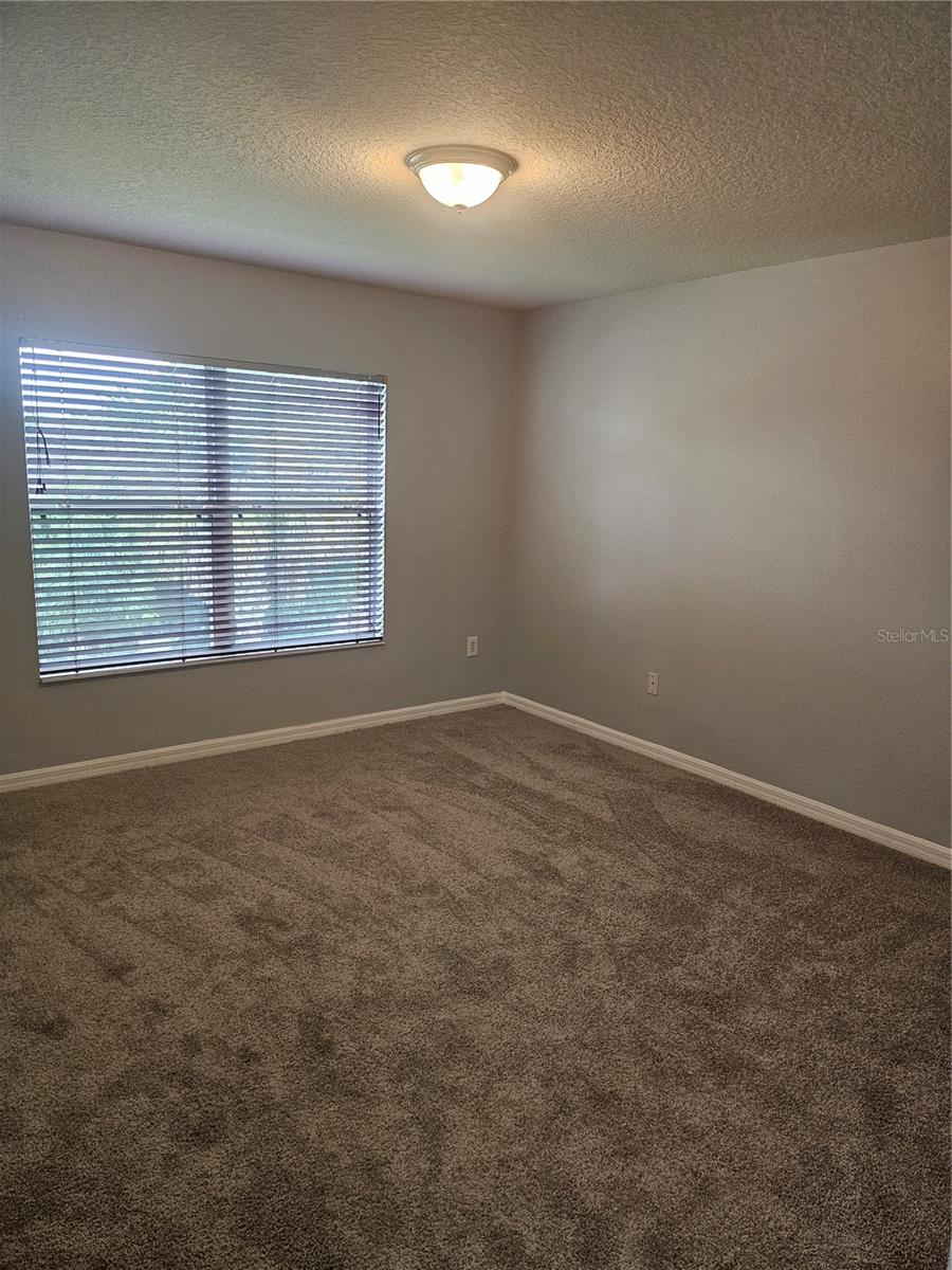 6972 TOWERING SPRUCE DR, RIVERVIEW, FL, 33578