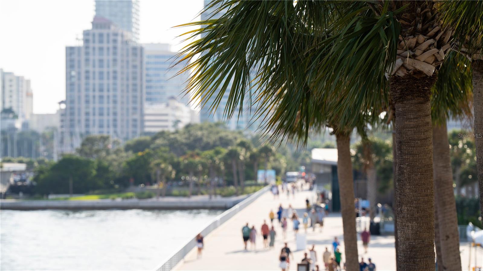 4650 EMERSON AVE S, ST PETERSBURG, FL, 33711