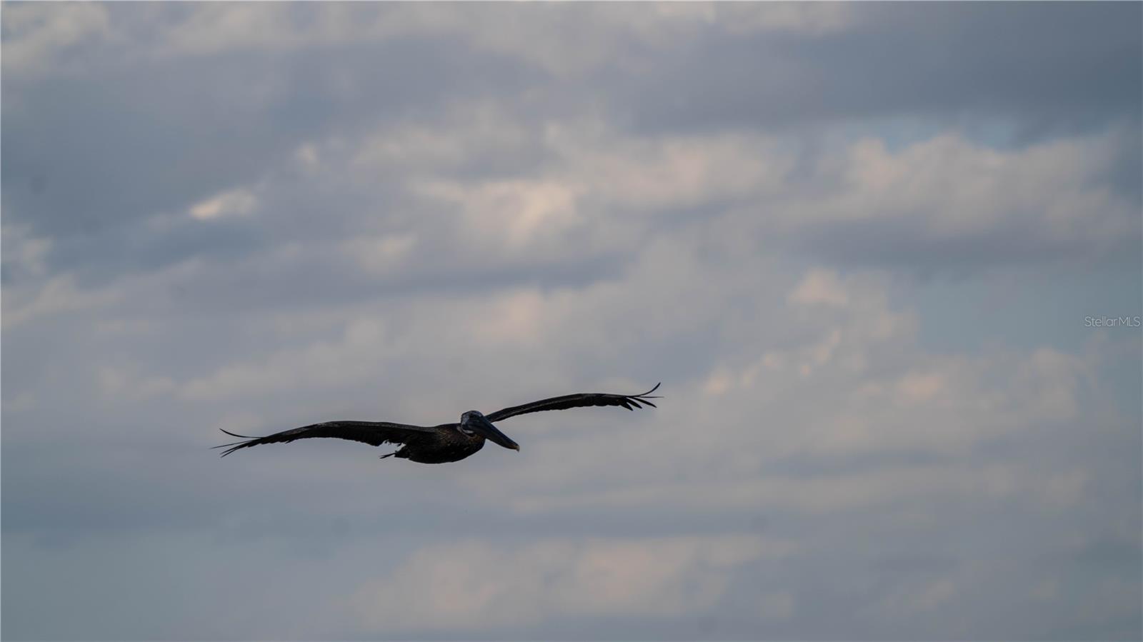 4650 EMERSON AVE S, ST PETERSBURG, FL, 33711