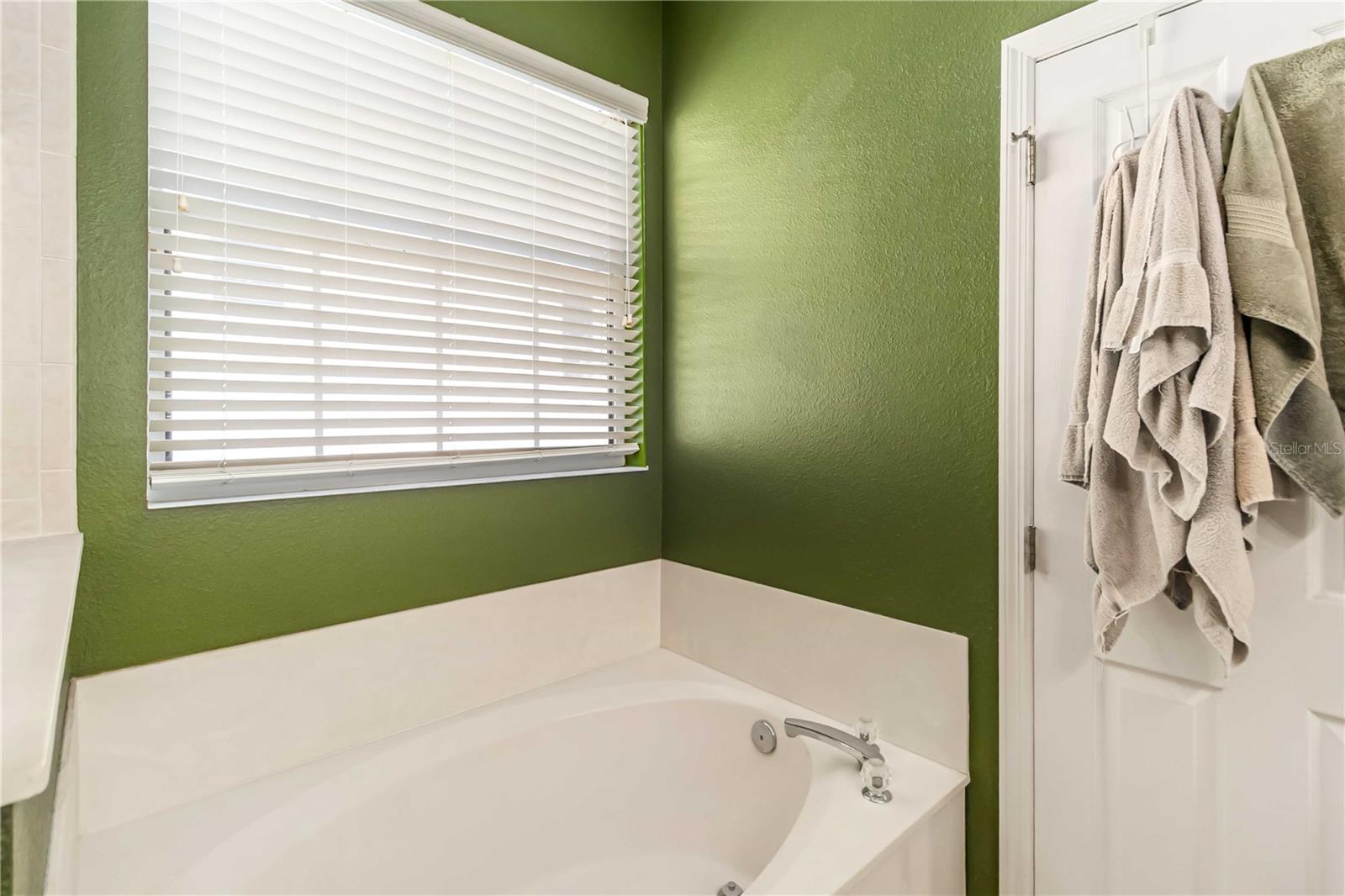 3854 FALLSCREST CIR, CLERMONT, FL, 34711