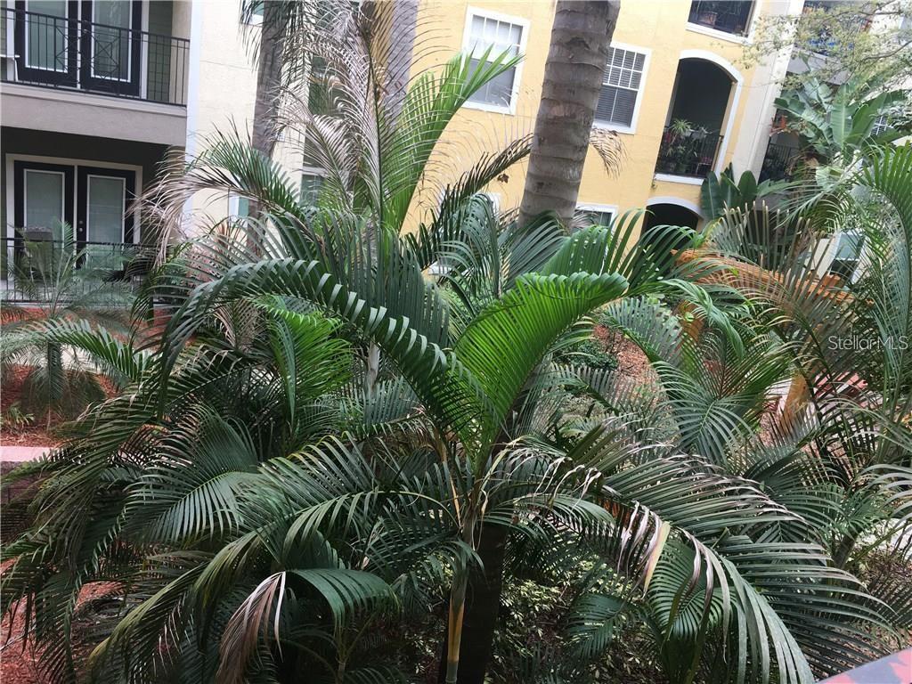 1910 E PALM AVE #8211, TAMPA, FL, 33605