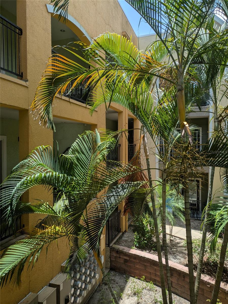 1910 E PALM AVE #8211, TAMPA, FL, 33605