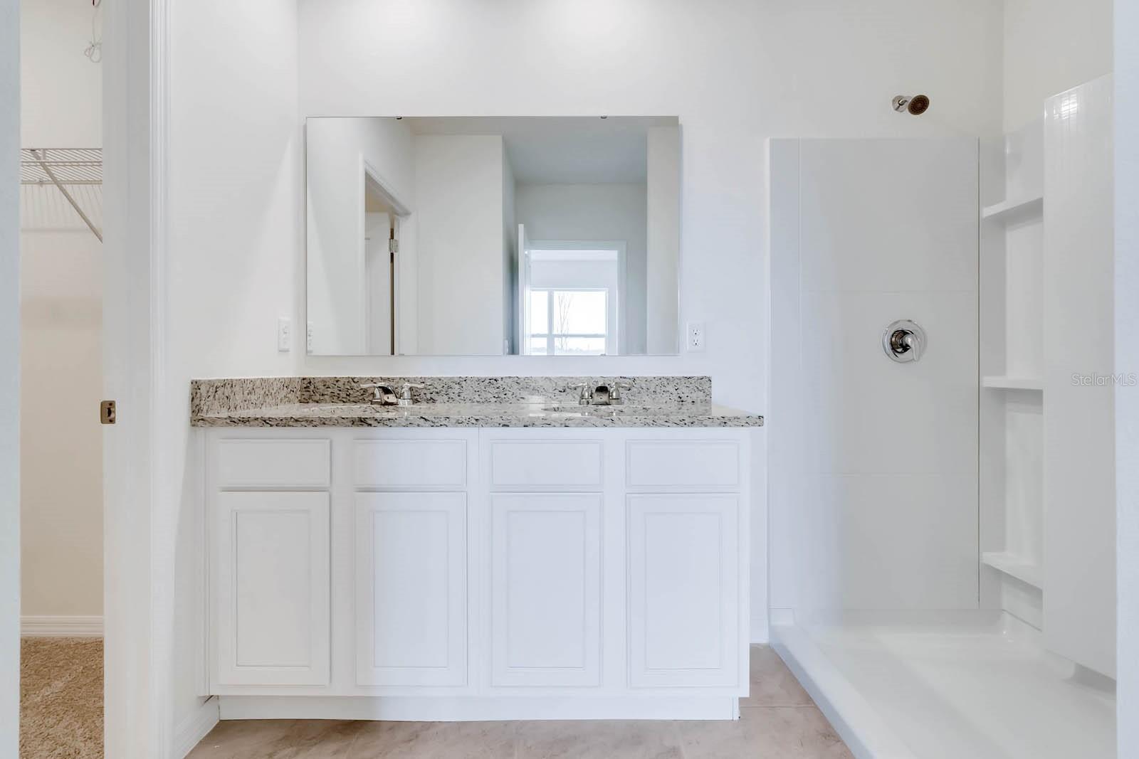 1254 ALSTONIA LN, MOUNT DORA, FL, 32757