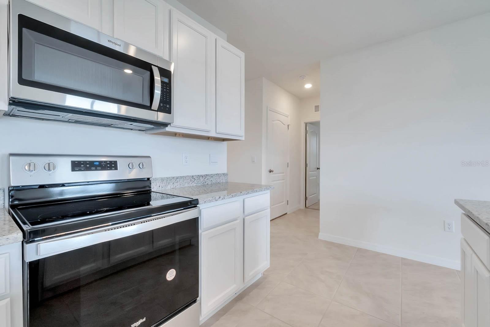 1254 ALSTONIA LN, MOUNT DORA, FL, 32757