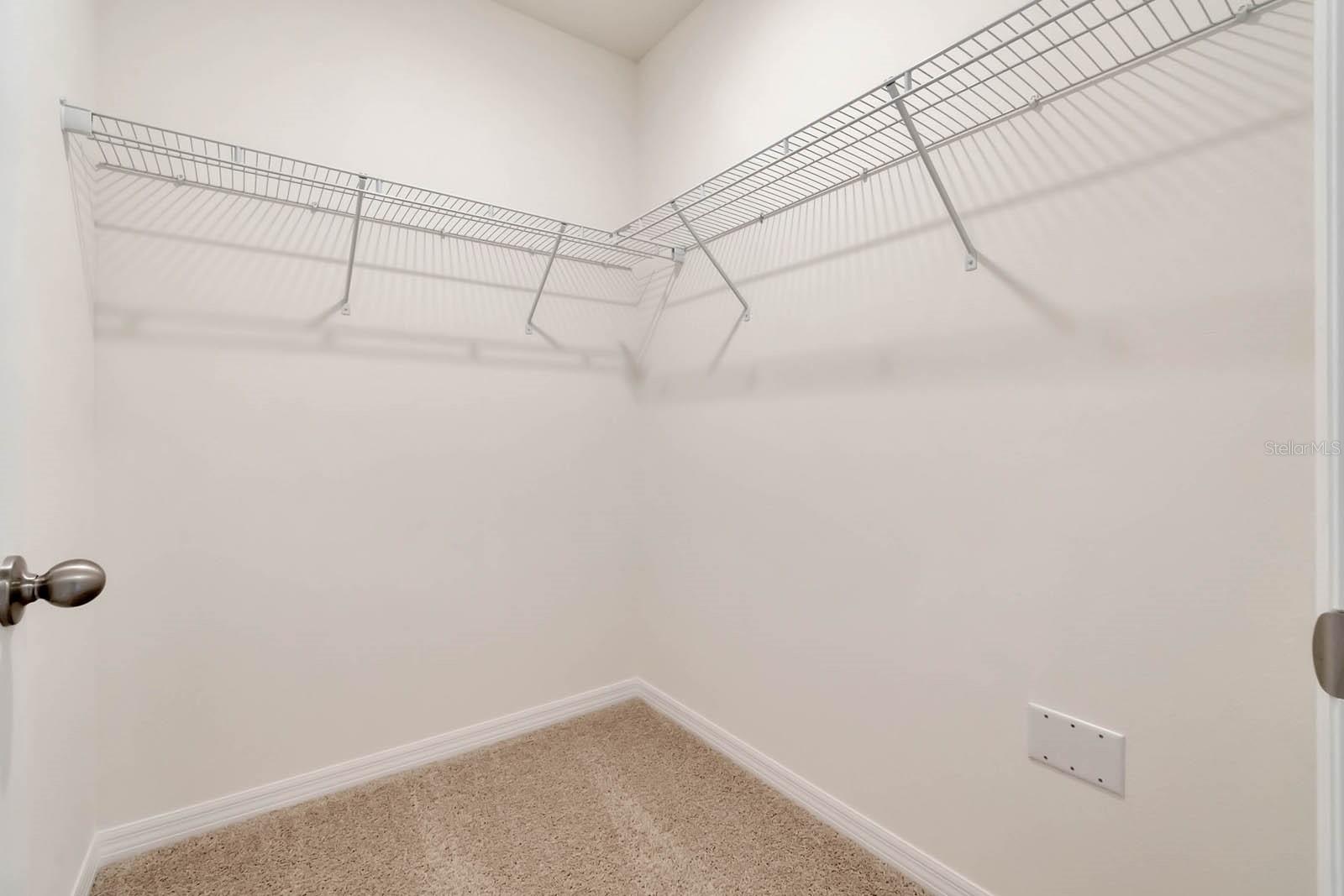 1254 ALSTONIA LN, MOUNT DORA, FL, 32757