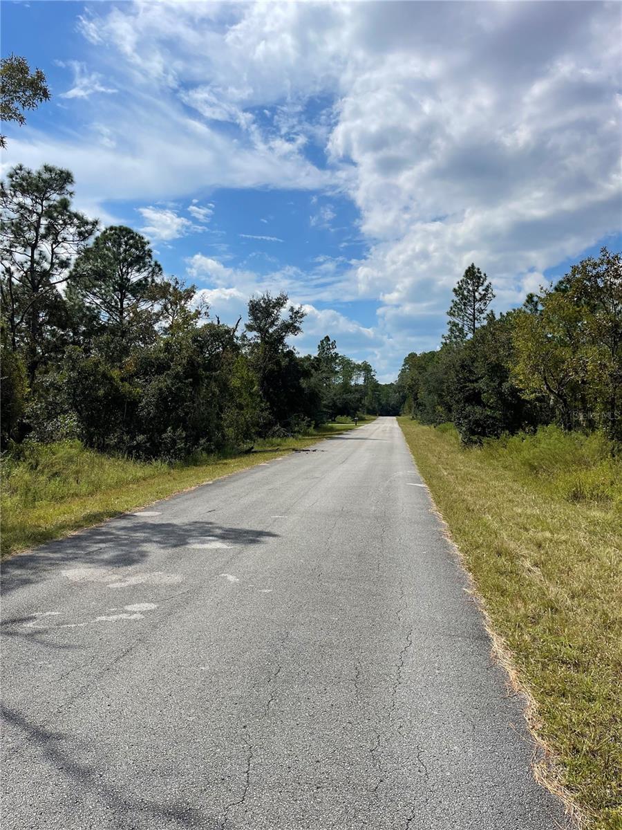 00 SW BLUE BERRY LN #Lot 11, DUNNELLON, FL, 34431