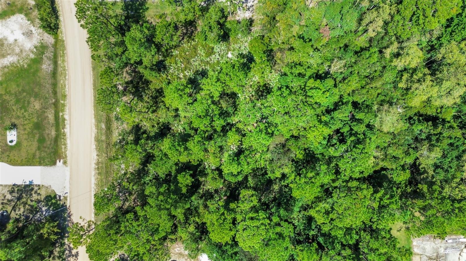 4538 MAYFLOWER ST, MIDDLEBURG, FL, 32068