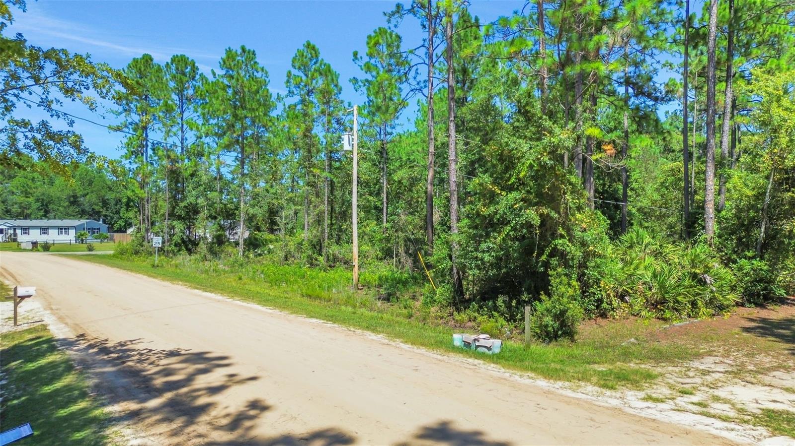 4538 MAYFLOWER ST, MIDDLEBURG, FL, 32068