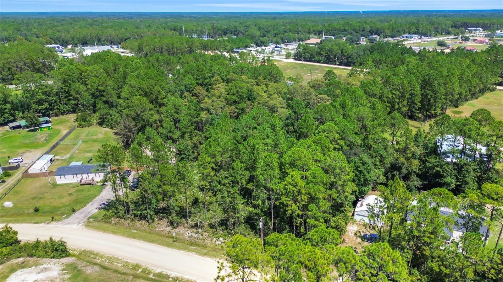 4538 MAYFLOWER ST, MIDDLEBURG, FL, 32068