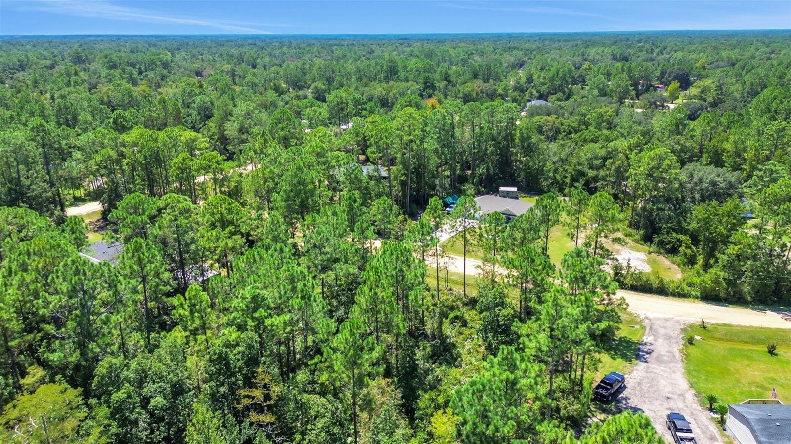 4538 MAYFLOWER ST, MIDDLEBURG, FL, 32068