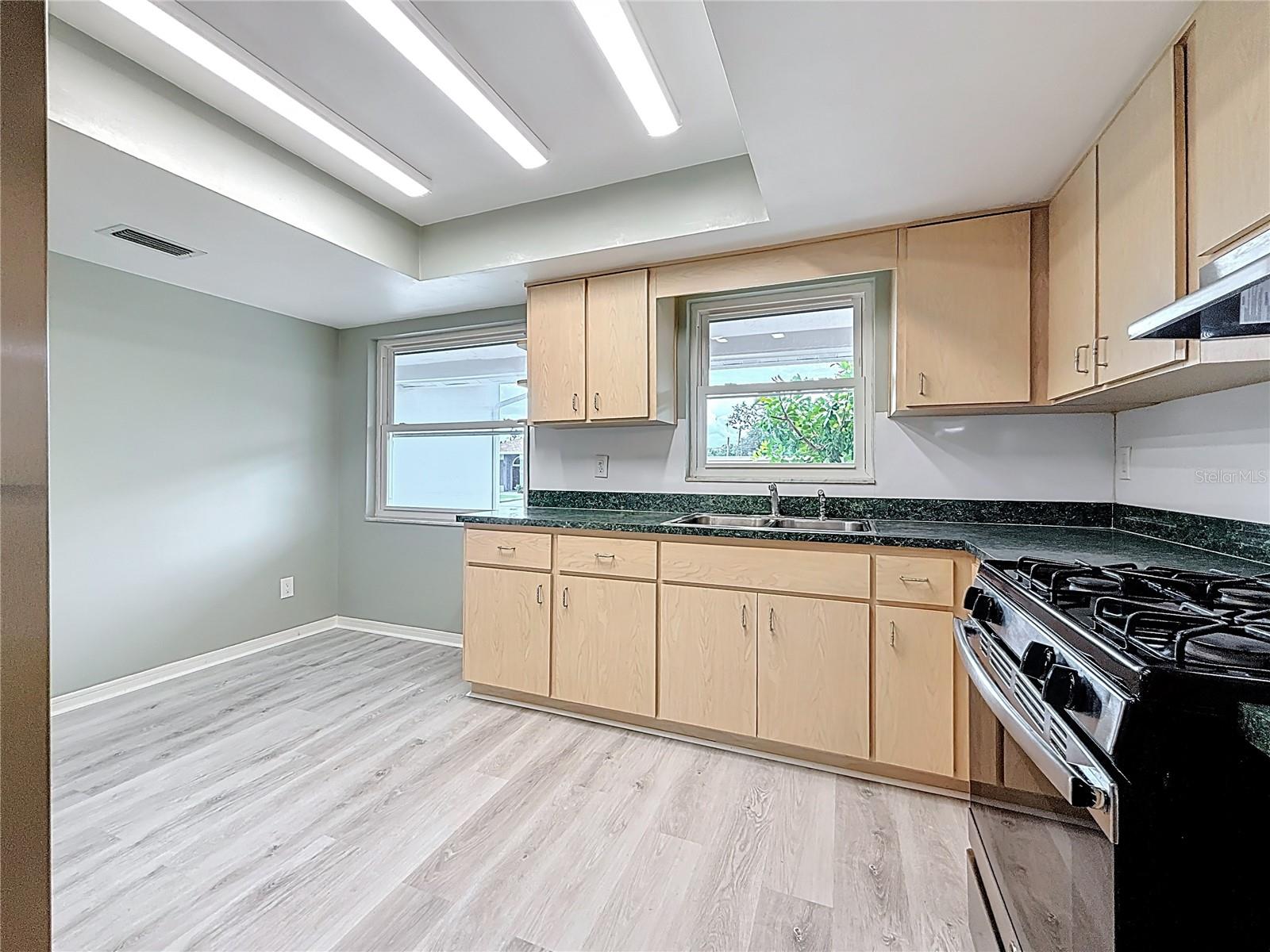 1013 55TH TER S, ST PETERSBURG, FL, 33705