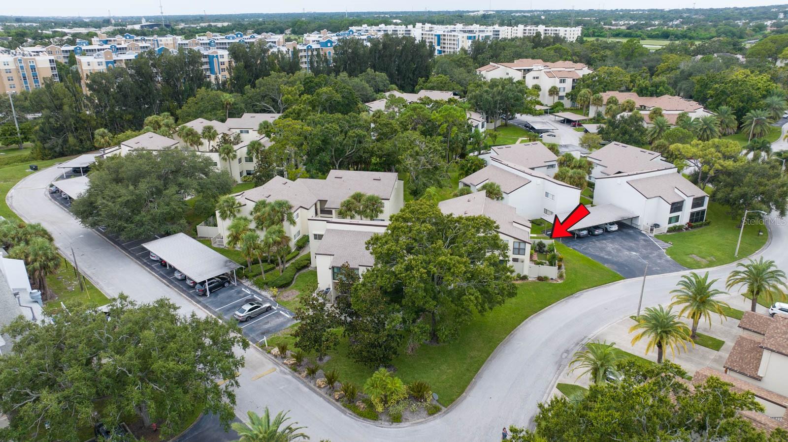 700 STARKEY RD #1411, LARGO, FL, 33771