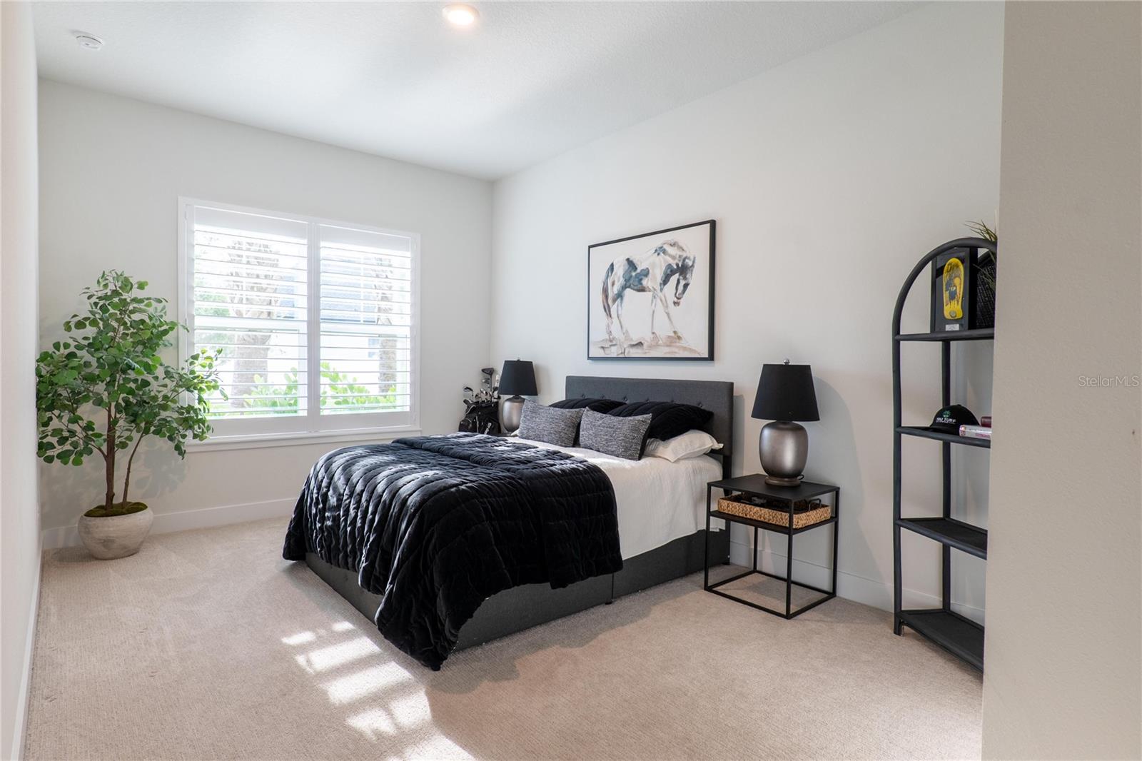 7504 ASHBROOKE PINE LOOP, ODESSA, FL, 33556