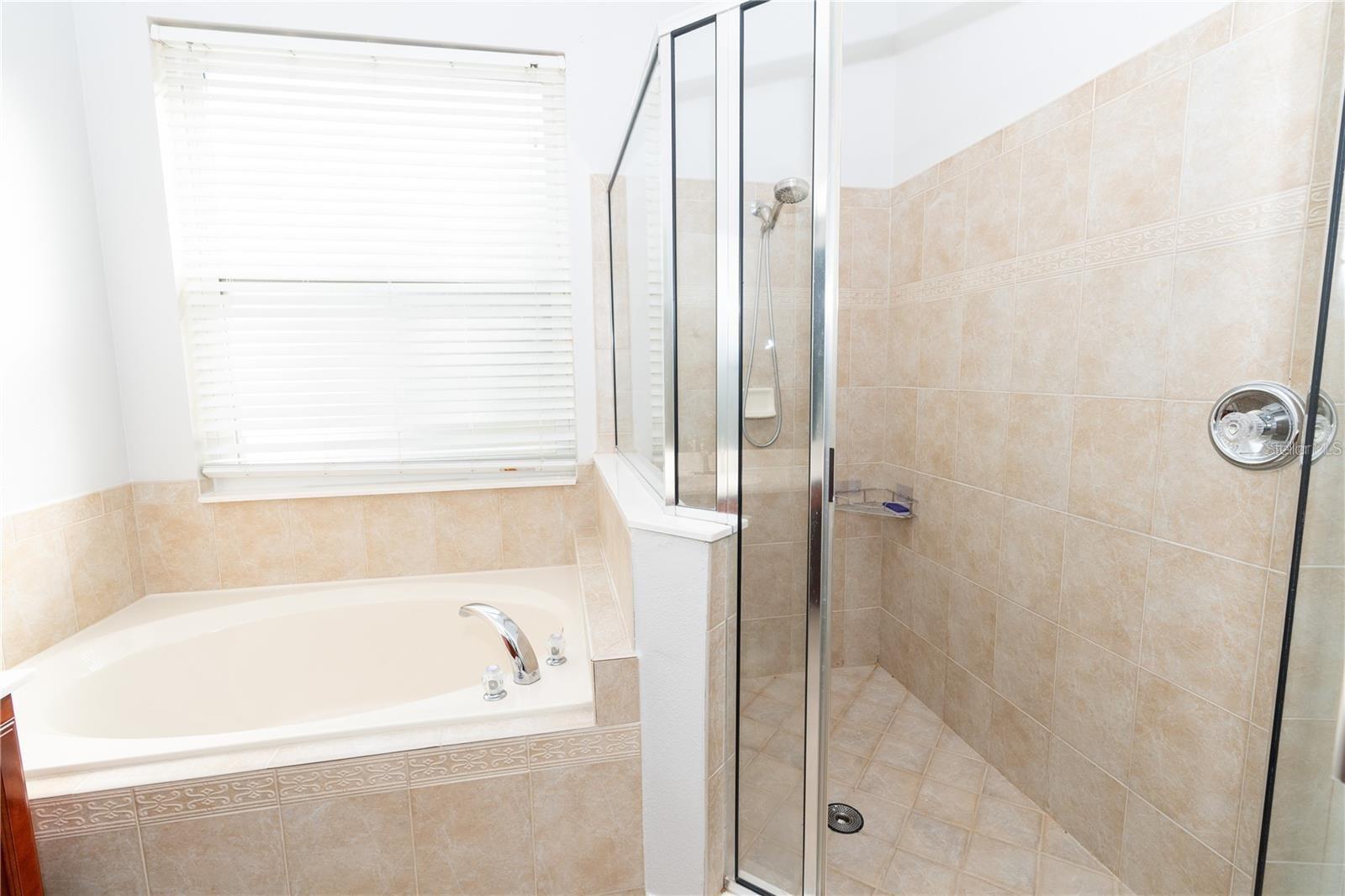 9763 MOSS ROSE WAY, ORLANDO, FL, 32832