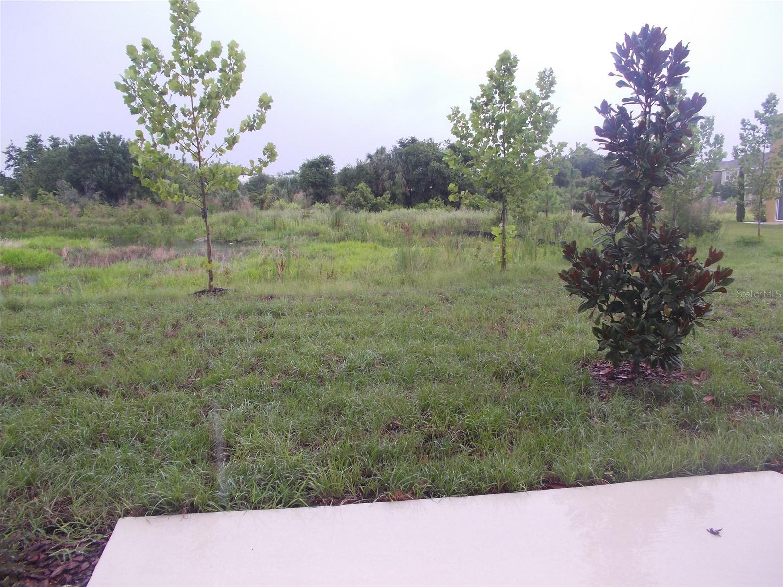 6915 WOODCHASE GLEN DR, RIVERVIEW, FL, 33578