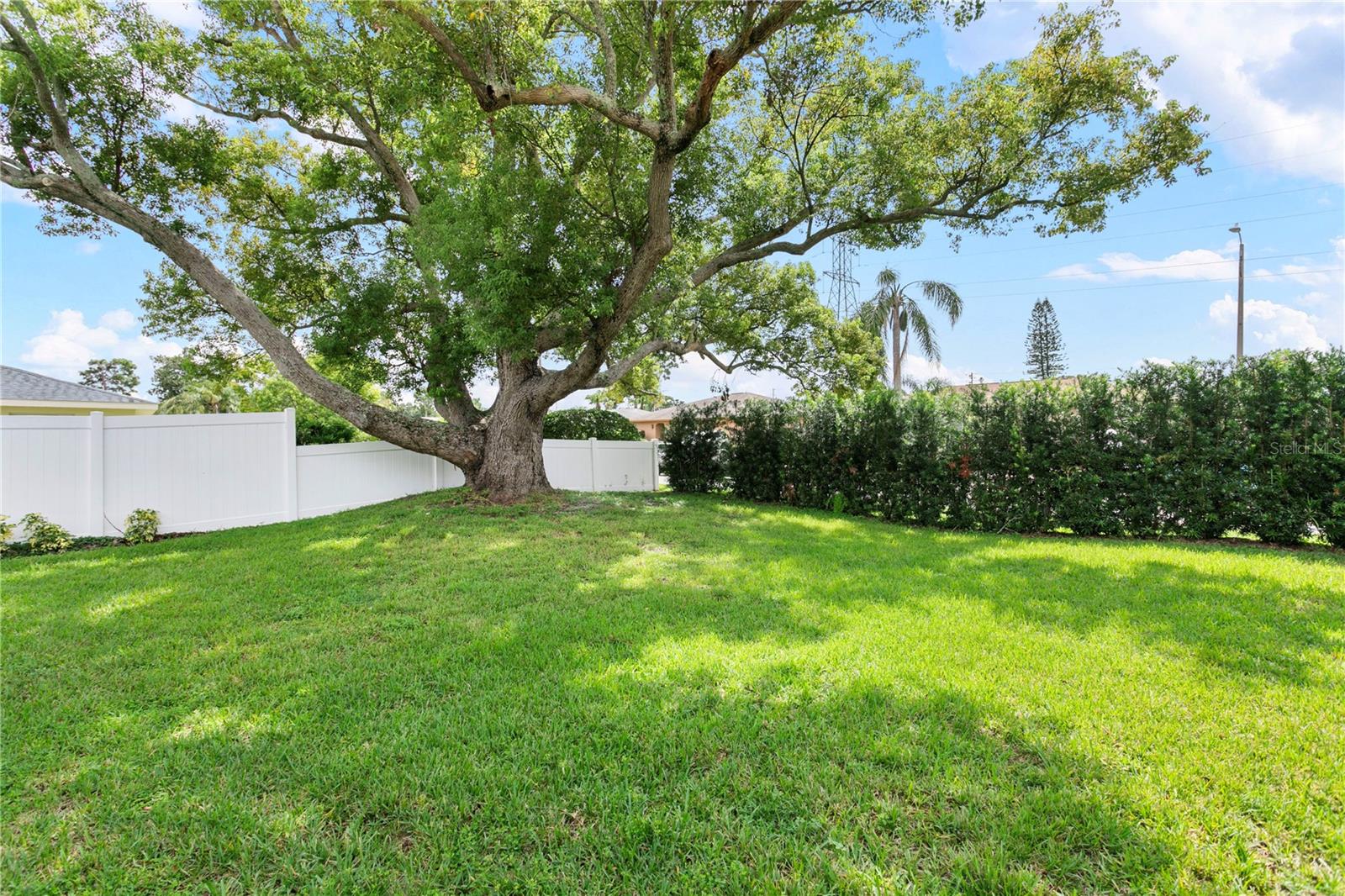 2813 MEADOW WOOD DR, CLEARWATER, FL, 33761