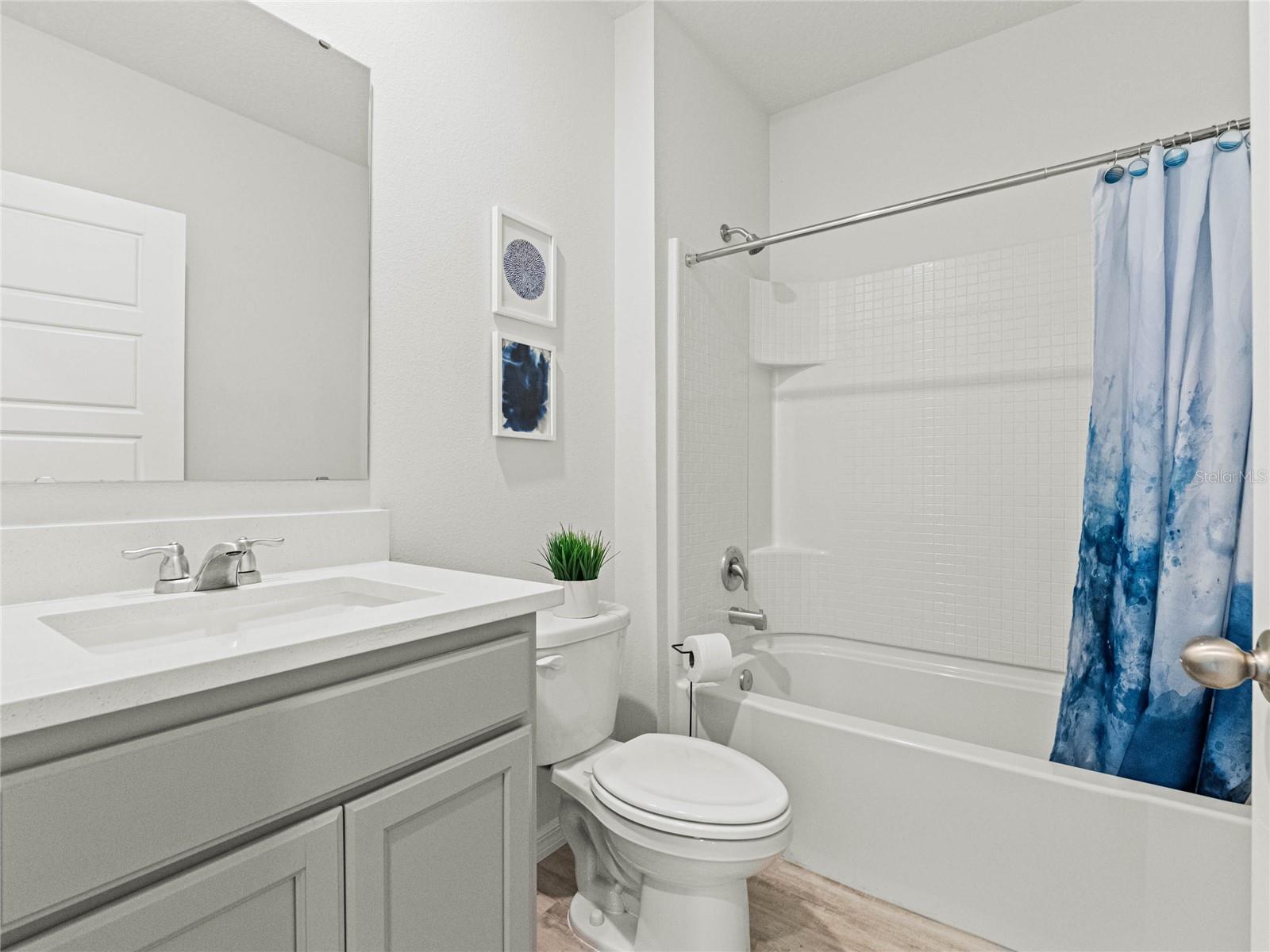 1250 ALSTONIA, MOUNT DORA, FL, 32757