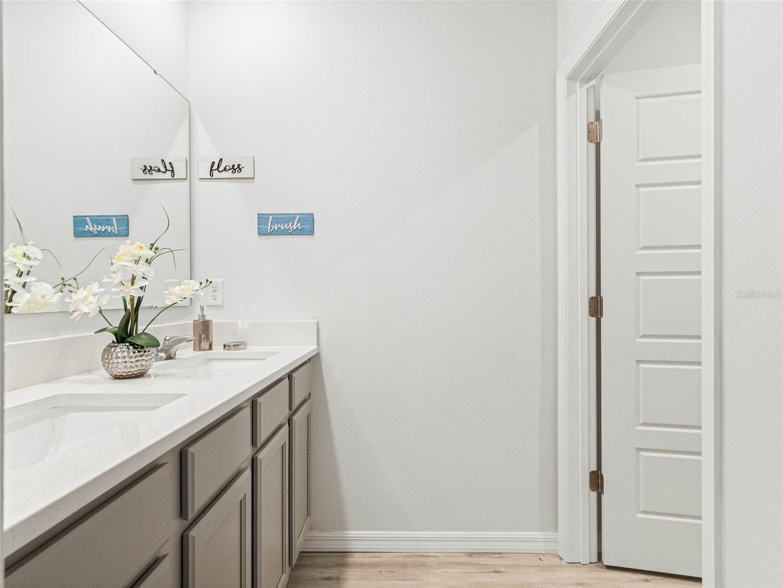 1250 ALSTONIA, MOUNT DORA, FL, 32757