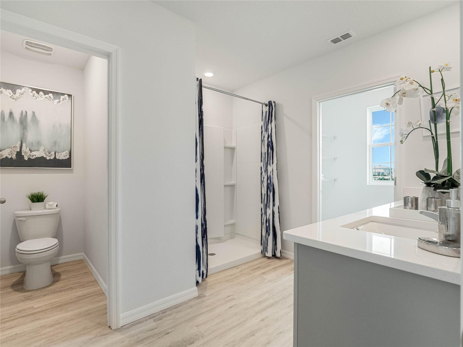 1250 ALSTONIA, MOUNT DORA, FL, 32757