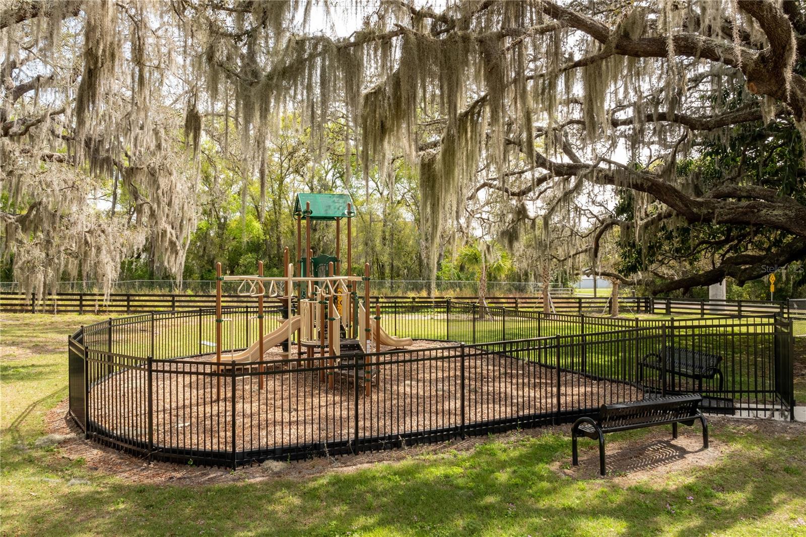 10176 BROCKSPORT CIR, GOTHA, FL, 34734