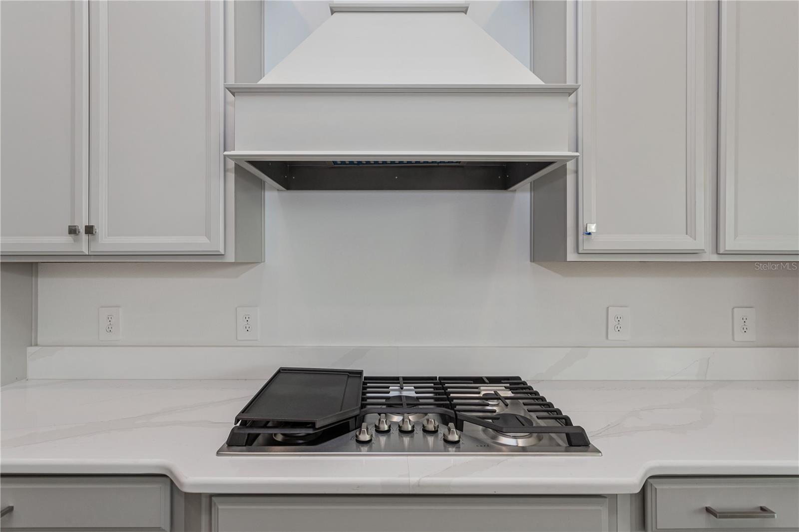 10176 BROCKSPORT CIR, GOTHA, FL, 34734