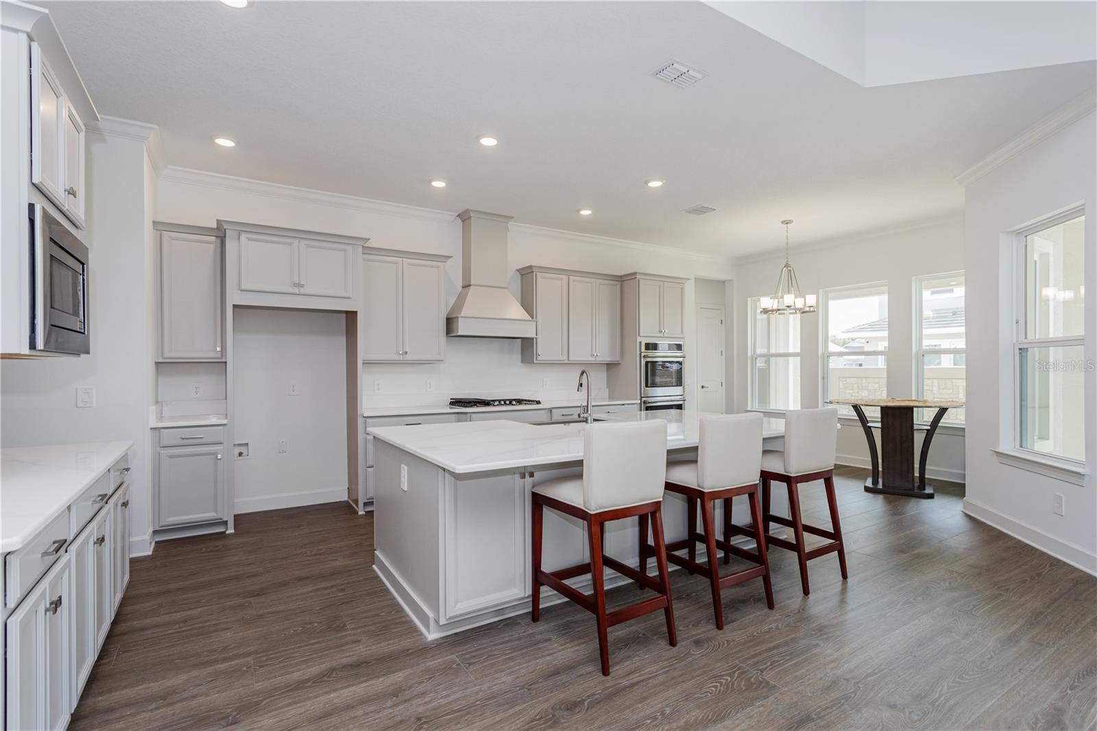 10176 BROCKSPORT CIR, GOTHA, FL, 34734