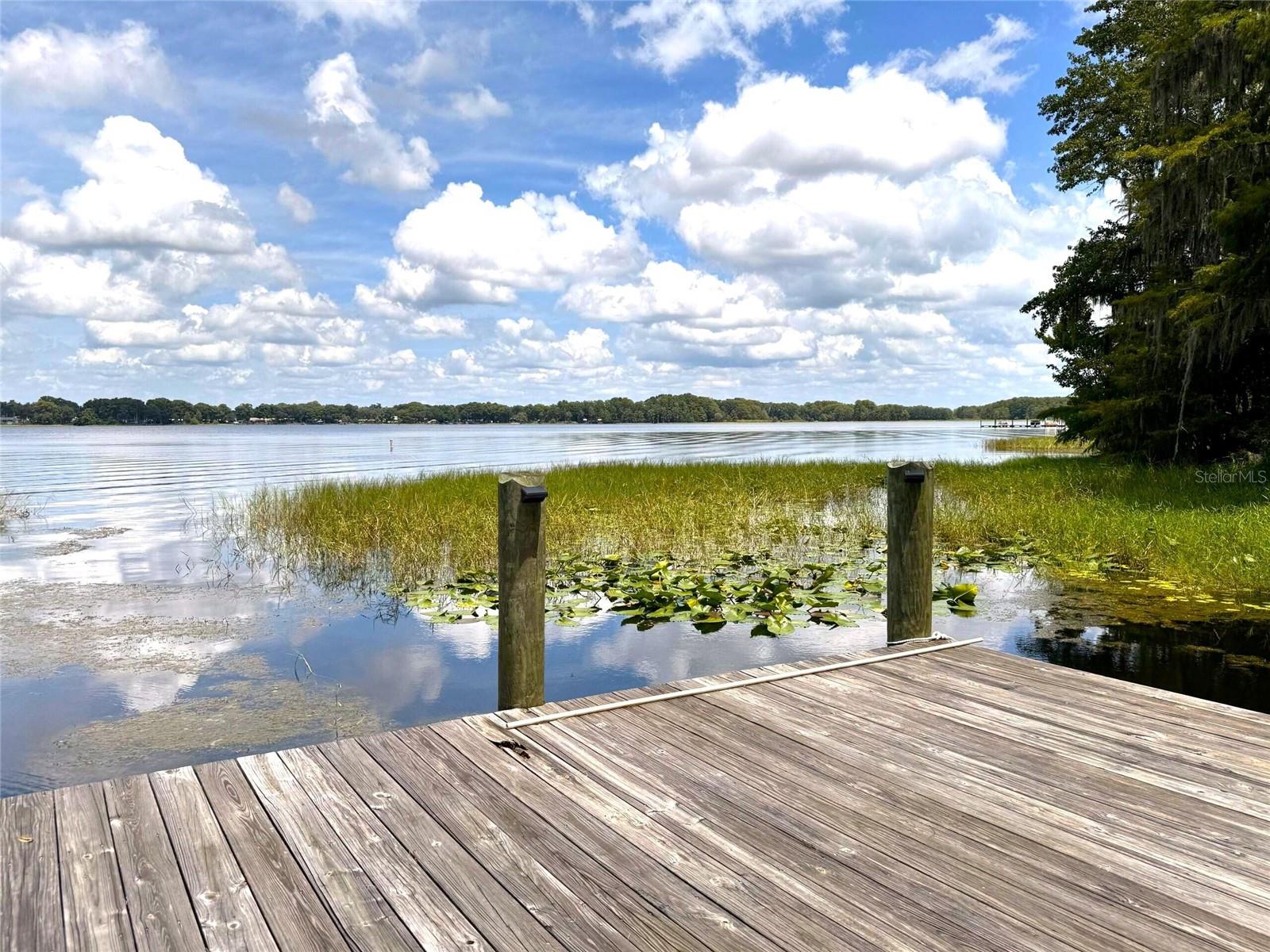 419 N APOPKA AVE, INVERNESS, FL, 34450