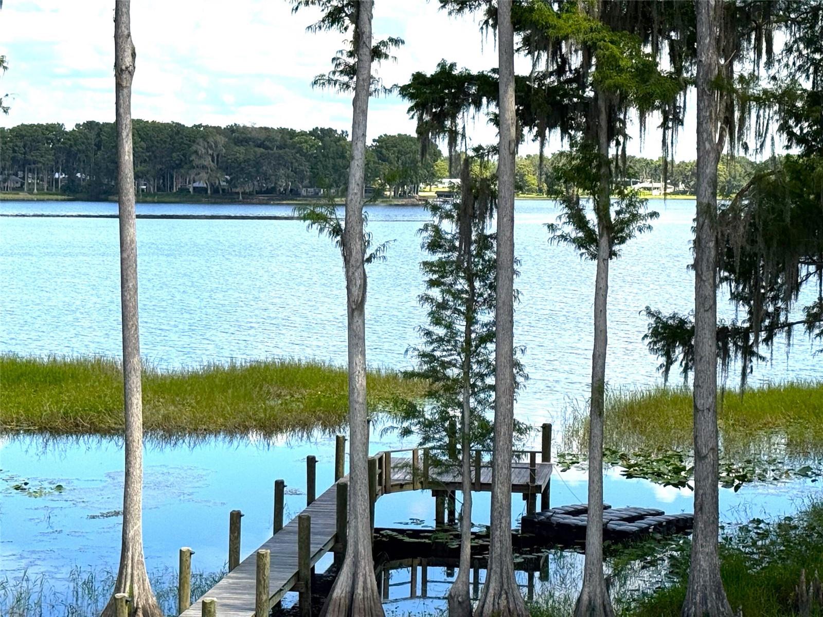 419 N APOPKA AVE, INVERNESS, FL, 34450