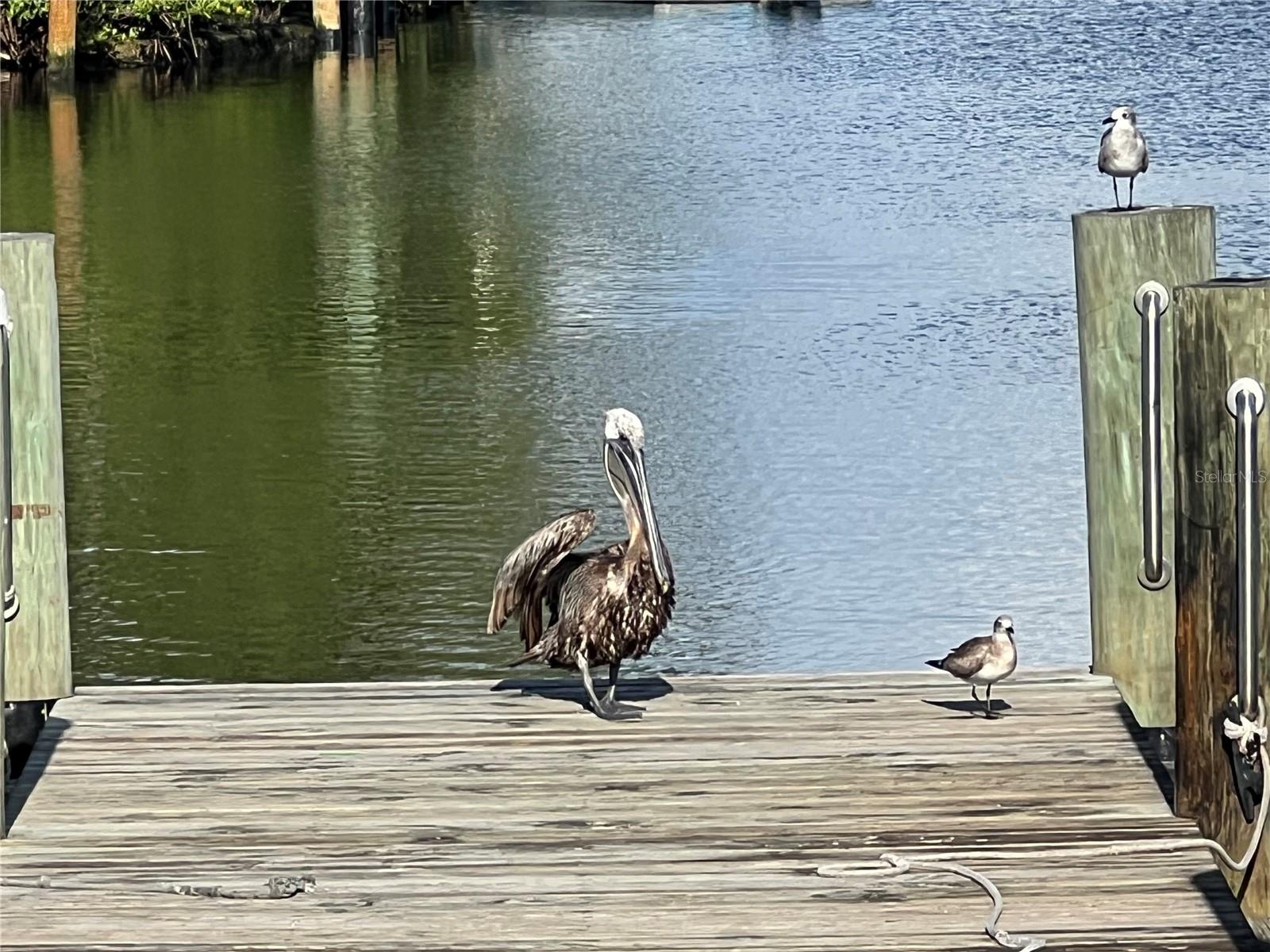 4335 CAPE HAZE DR, PLACIDA, FL, 33946