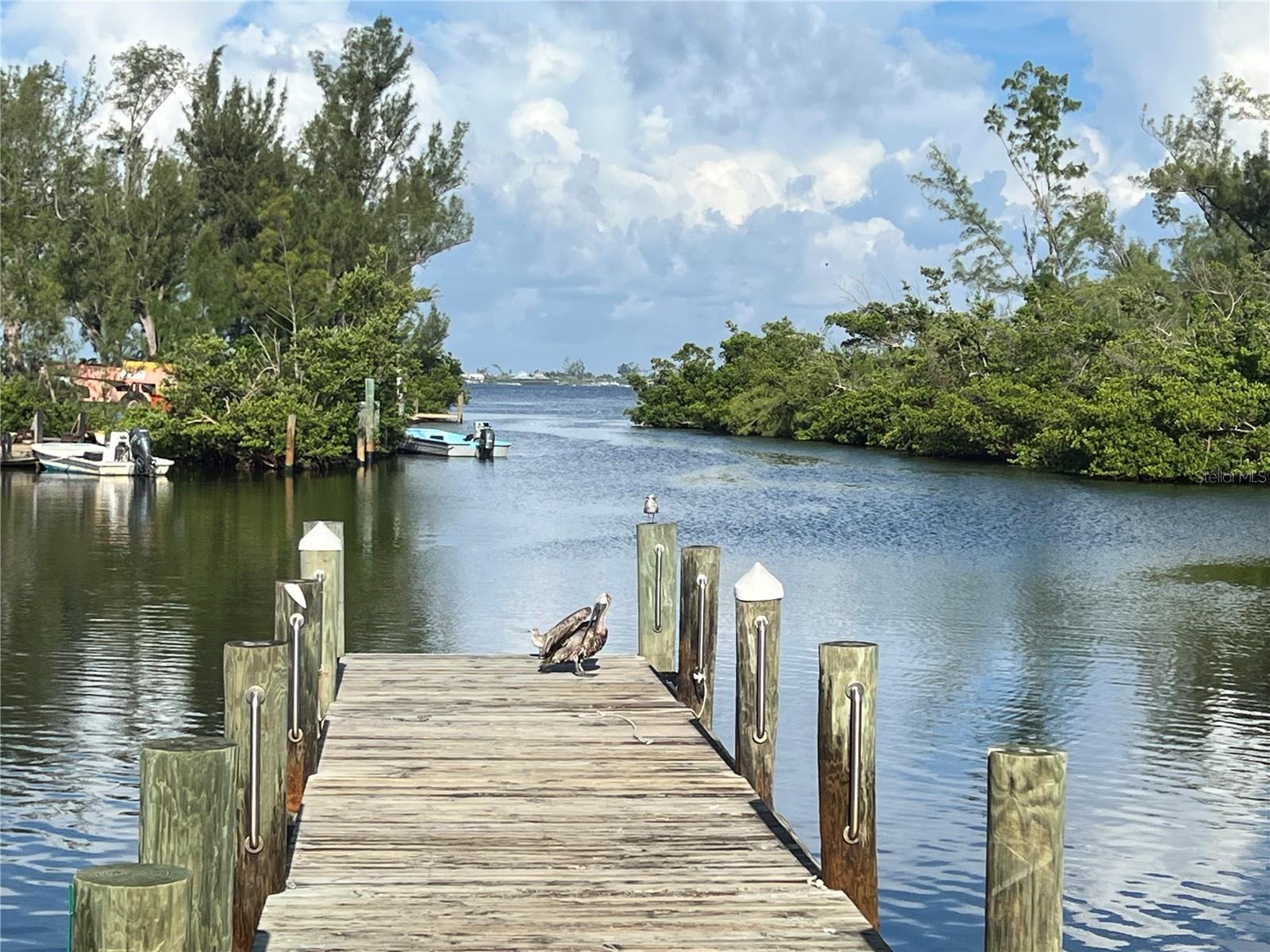 4335 CAPE HAZE DR, PLACIDA, FL, 33946