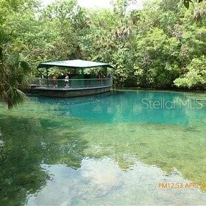 16789 SW 62ND ST, OCALA, FL, 34481