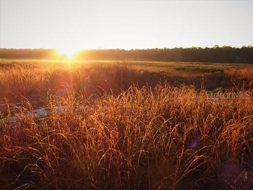 16789 SW 62ND ST, OCALA, FL, 34481