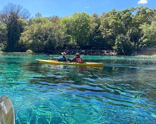 16789 SW 62ND ST, OCALA, FL, 34481