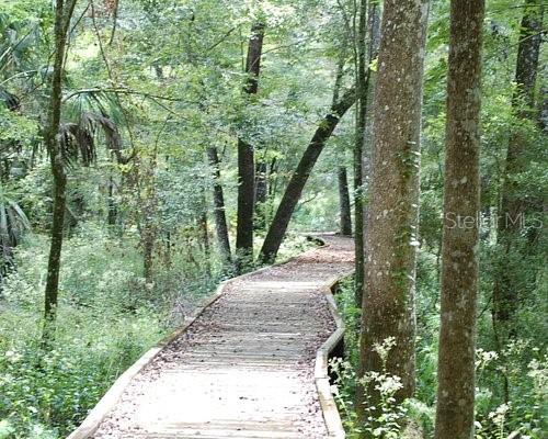 16789 SW 62ND ST, OCALA, FL, 34481